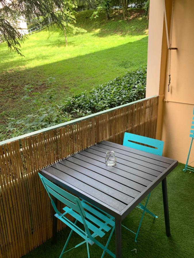 Au Coeur Du Parc Apartment Lyon Luaran gambar